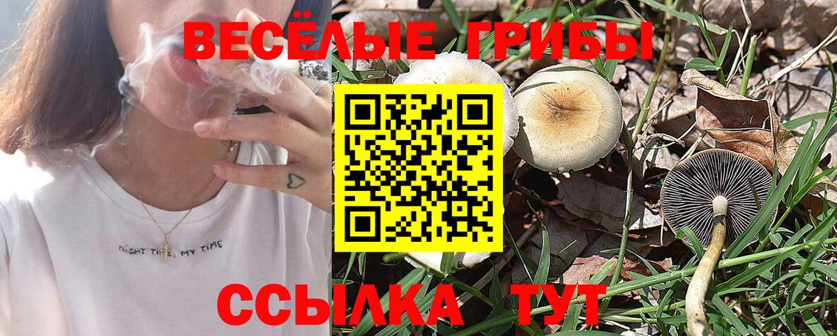 Псилоцибиновые грибы Magic Shrooms Армавир